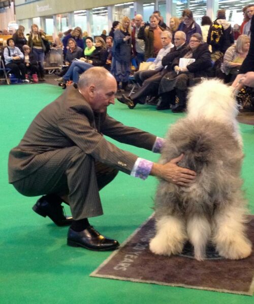 Ray Owen Crufts 2014