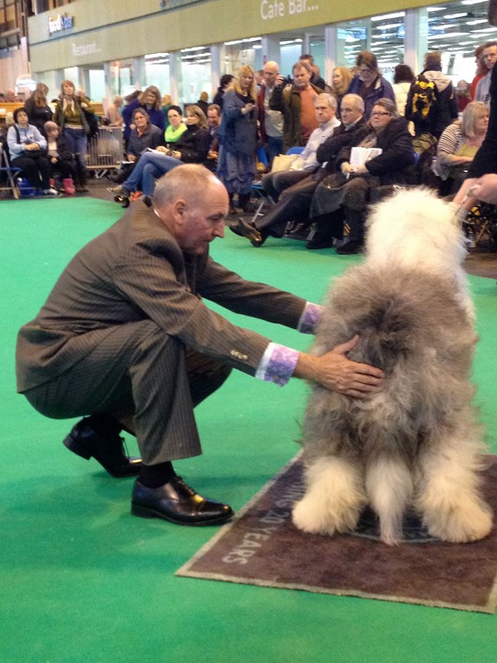 Ray Owen Crufts 2014