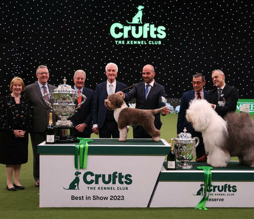 Crufts vinnere 2023