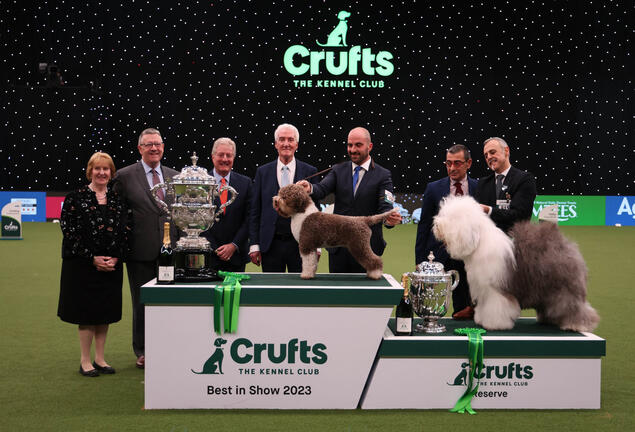 Crufts vinnere 2023