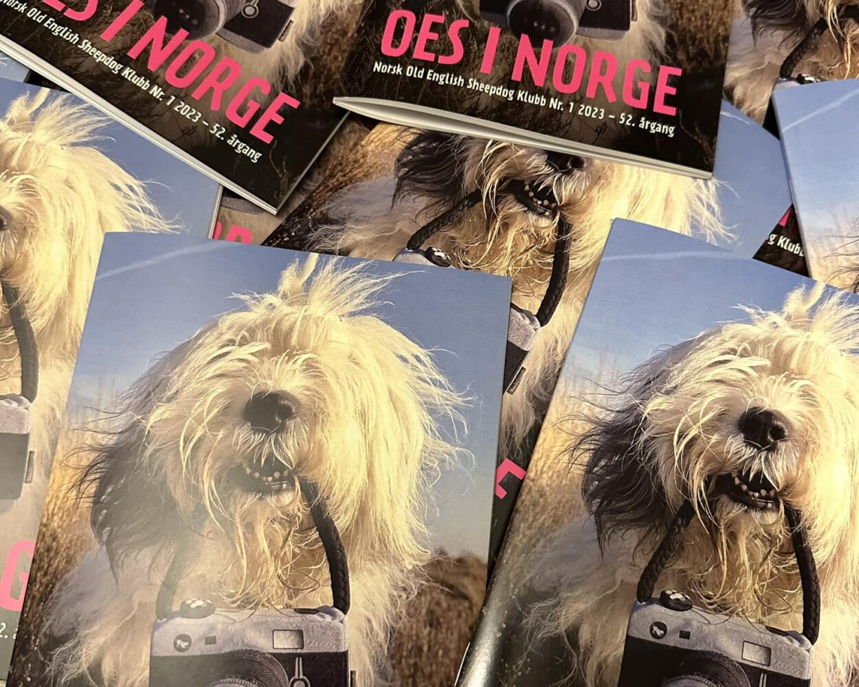 Medlemsblad for Old English Sheepdogs i Norge