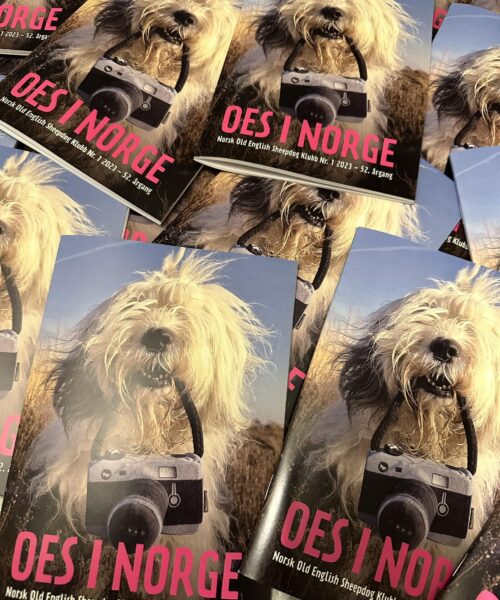 Medlemsblad for Old English Sheepdogs i Norge